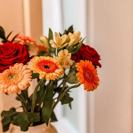 Szálloda Parkvilla Vital 4*