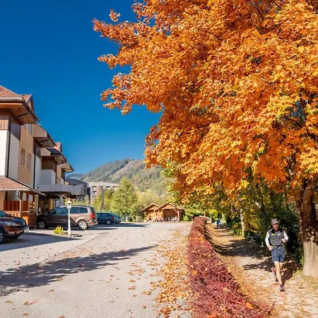 Hotel Parkvilla Vital