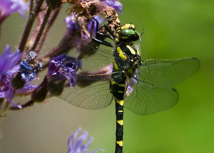 Parkvilla Vital Hotel 4*