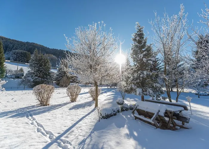 Parkvilla Vital Hotell Schladming